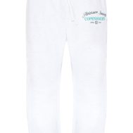 01c0ed4856c8f9cfaaba26d2d75e6ab635159c64_CNM0200_5_ash_grey_premium_new_york_embroidered_straight_leg_jogger