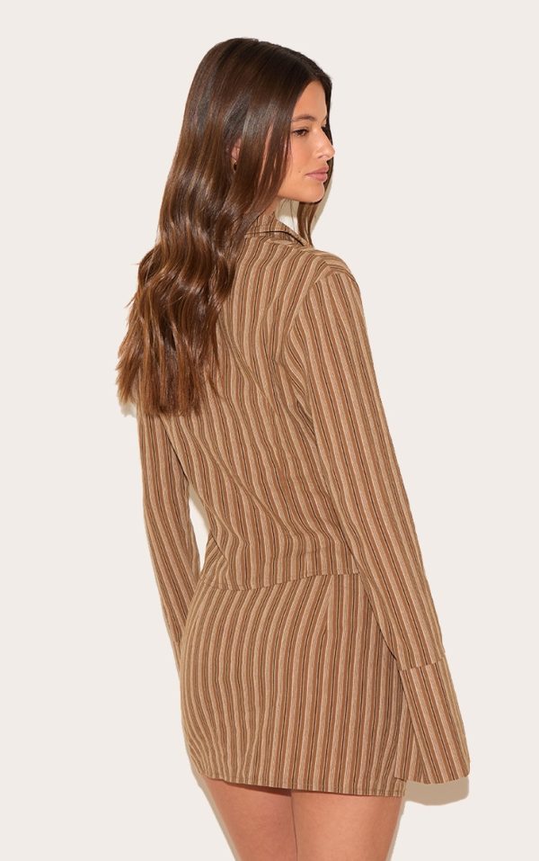 341ea6217934dc98d305af5b7c5b32455b7aa7fd_CNL9423_2_brown_pinstripe_fitted_shirt