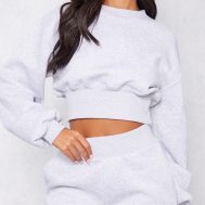 3c8eb0302b4ed02260ddf796d2d466da2b5102d5_CNF3841_4_tall_ash_grey_cropped_sweatshirt
