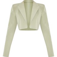 3de6c2bf9110c6c6be3e7be834f1a4ee59a7f0d0_CNM0989_5_shape_sage_tailored_cropped_blazer