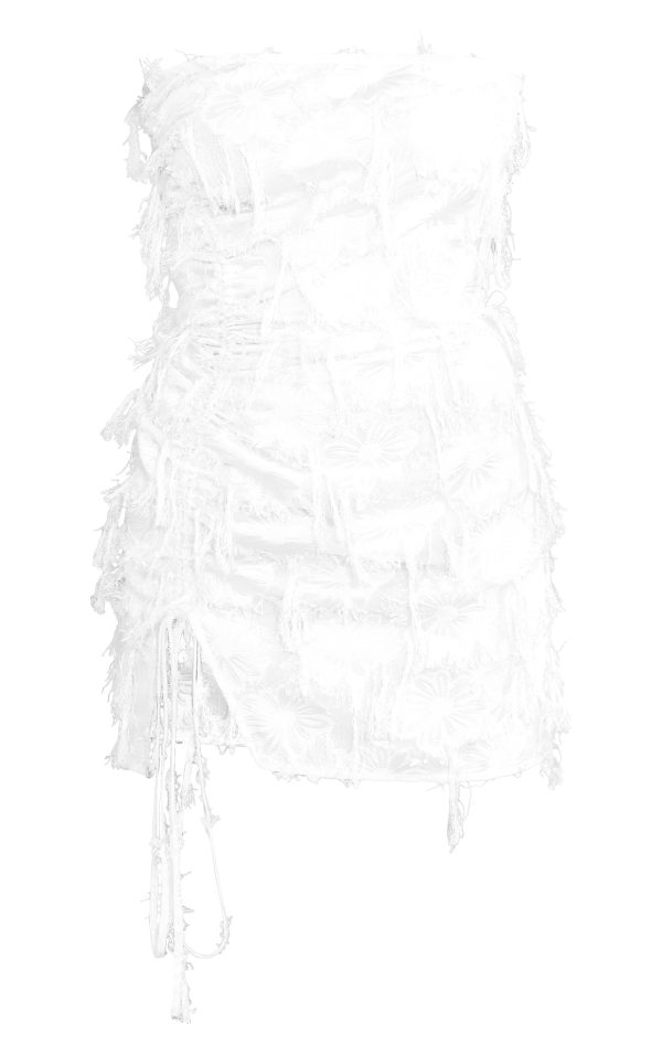ad6f0ca5466a035c813827919e4dc153702e8e5a_cni8327_5