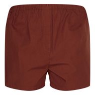 c4b7e0e1cb6ee7327d46e28168eff2276b53e45c_CNM5131_6_plus_chocolate_floaty_poplin_shorts