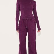 f611a4d328d899aaab1b038c7047f5cbe5efdf63_CNL7543_3_prettylittlething_dark_plum_washed_fitted_long_sleeve_t_shirt-1